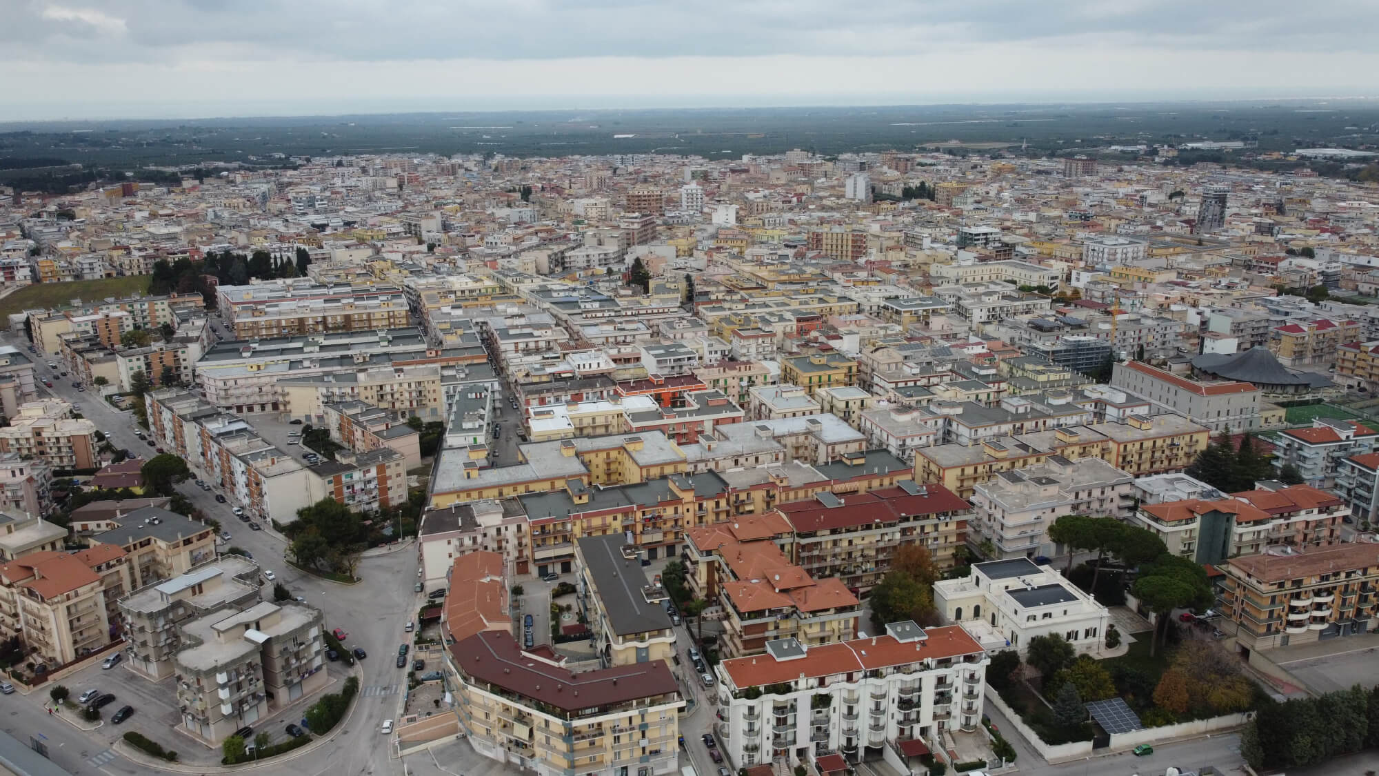 De Palma Immobiliare 3