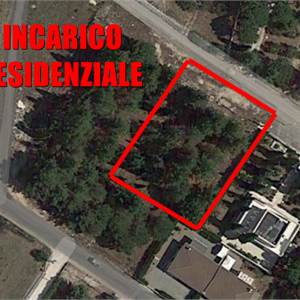 Terreno Edificabile In Vendita a Corato